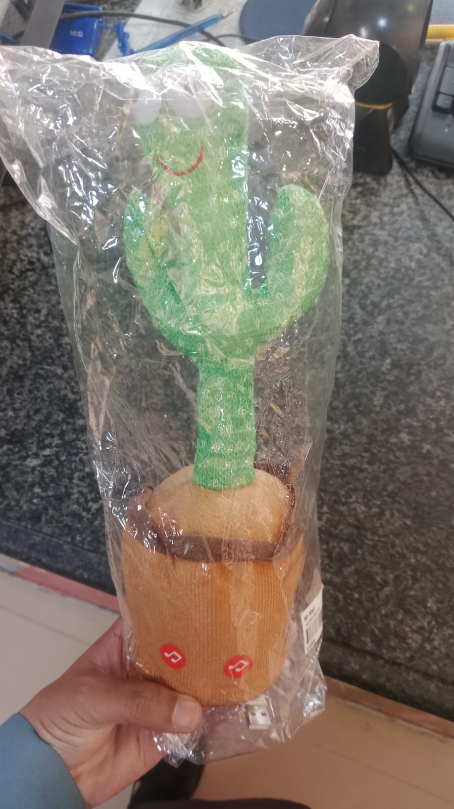 Dancing Cactus Toy for Kids – Talking & Singing Plush Cactus